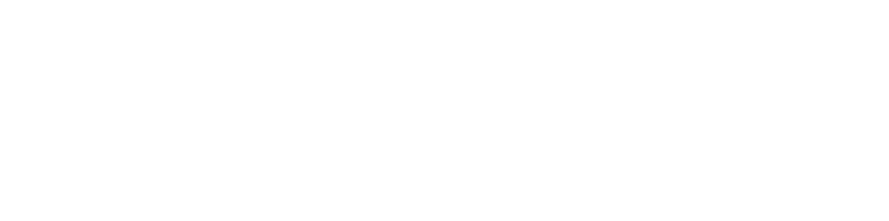 Martens Centre